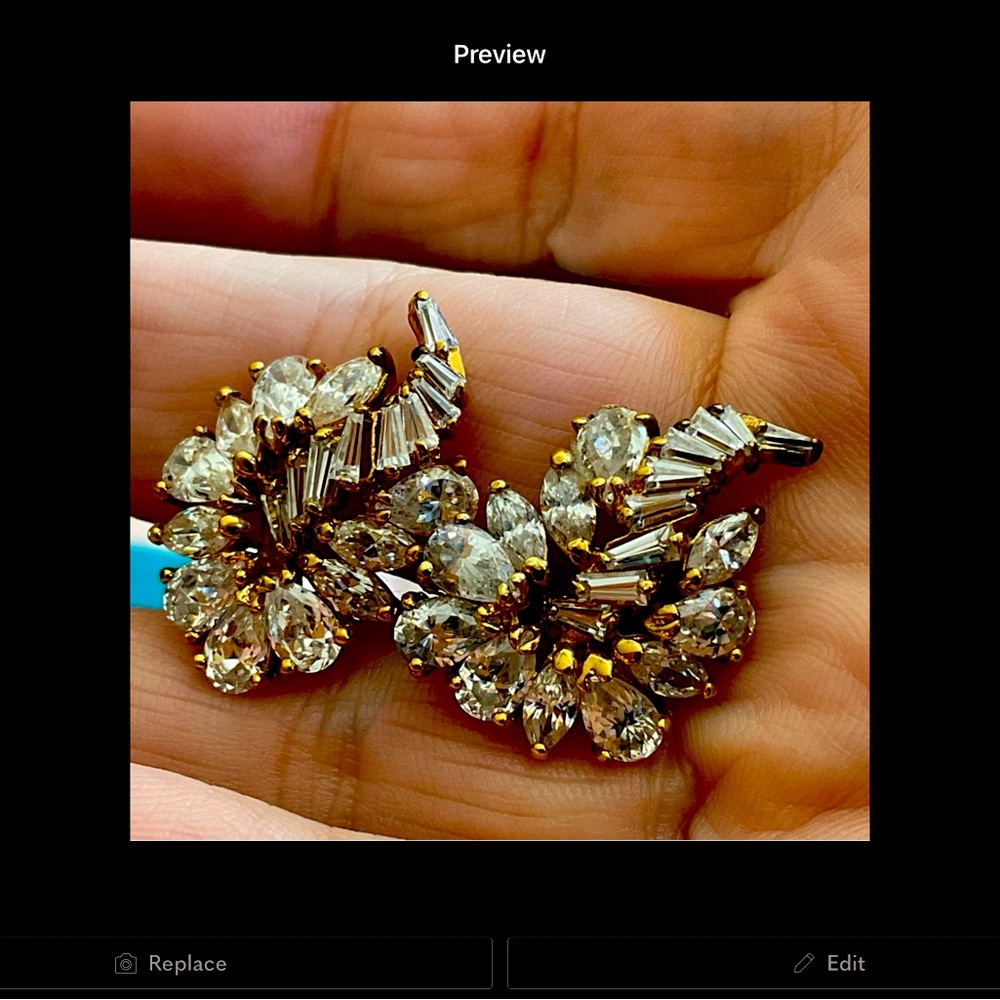 Beautiful Earring